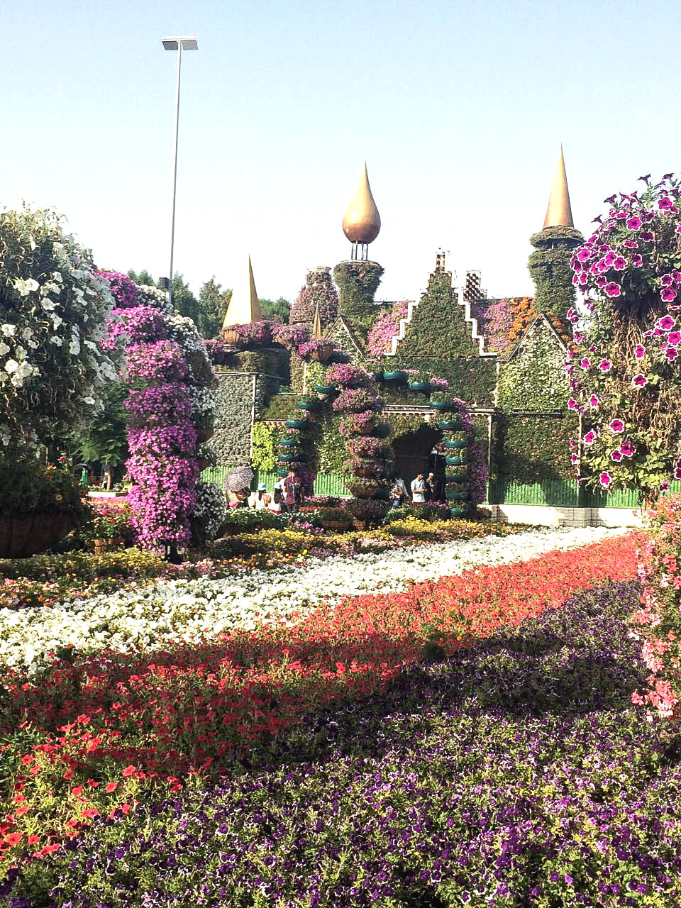 Dubai Travel Guide Dubai Travel Diary Miracle Garden Dubai Flowers