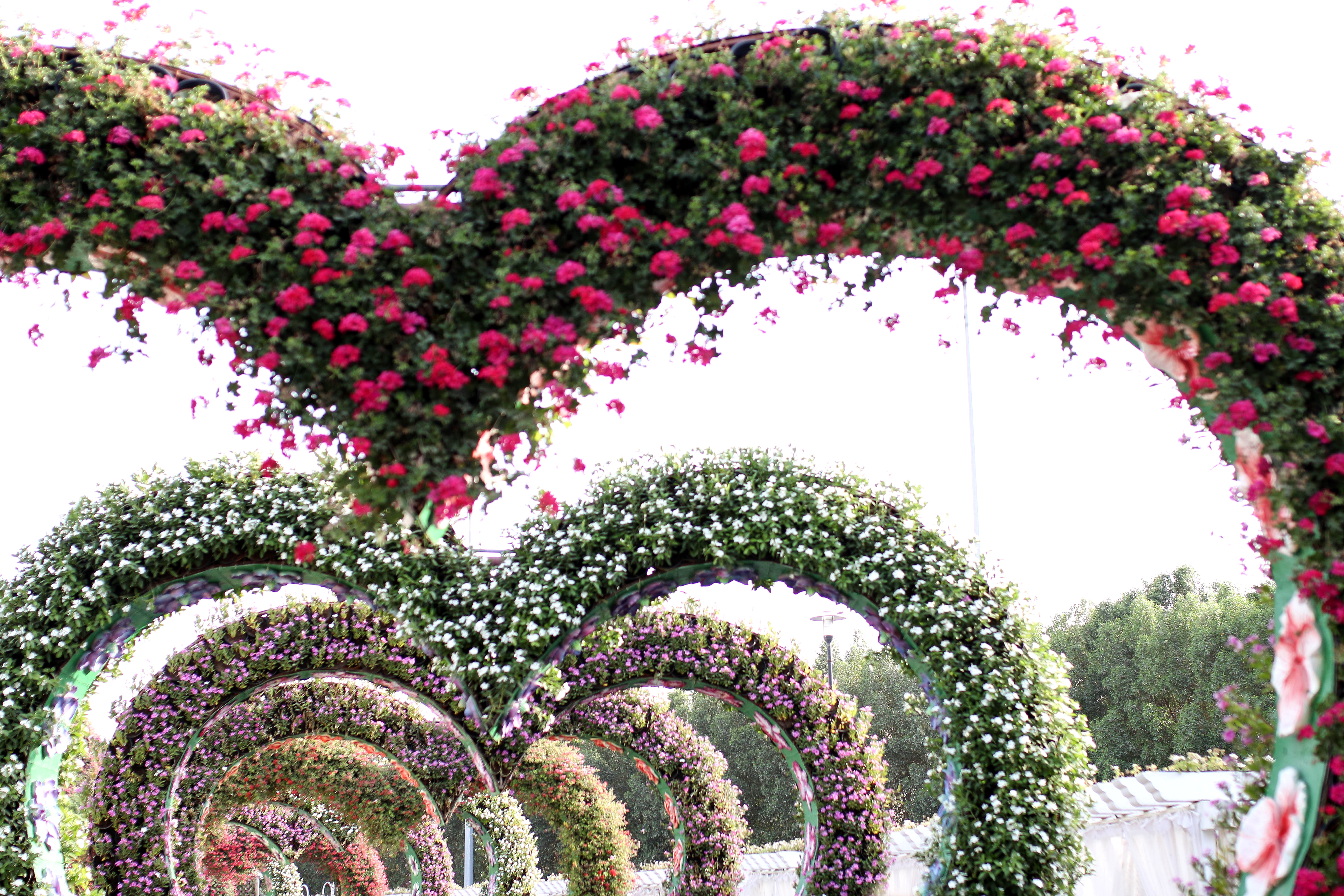 dubai travel guide dubai travel diary miracle garden hearts herzbögen lifestyleblog travelblog